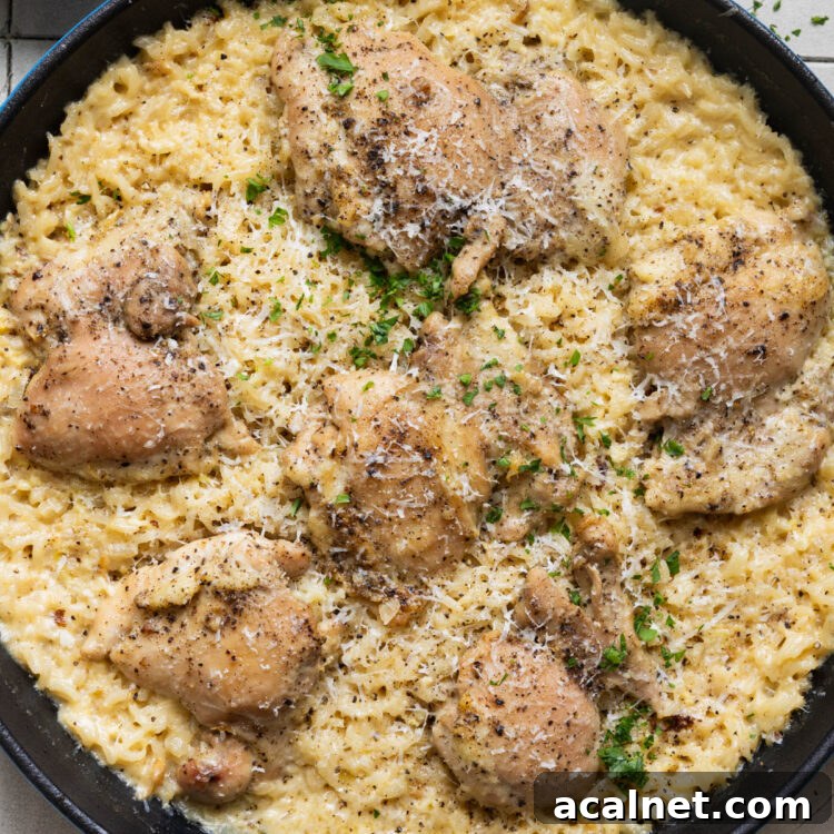 Cacio e Pepe Chicken and Rice