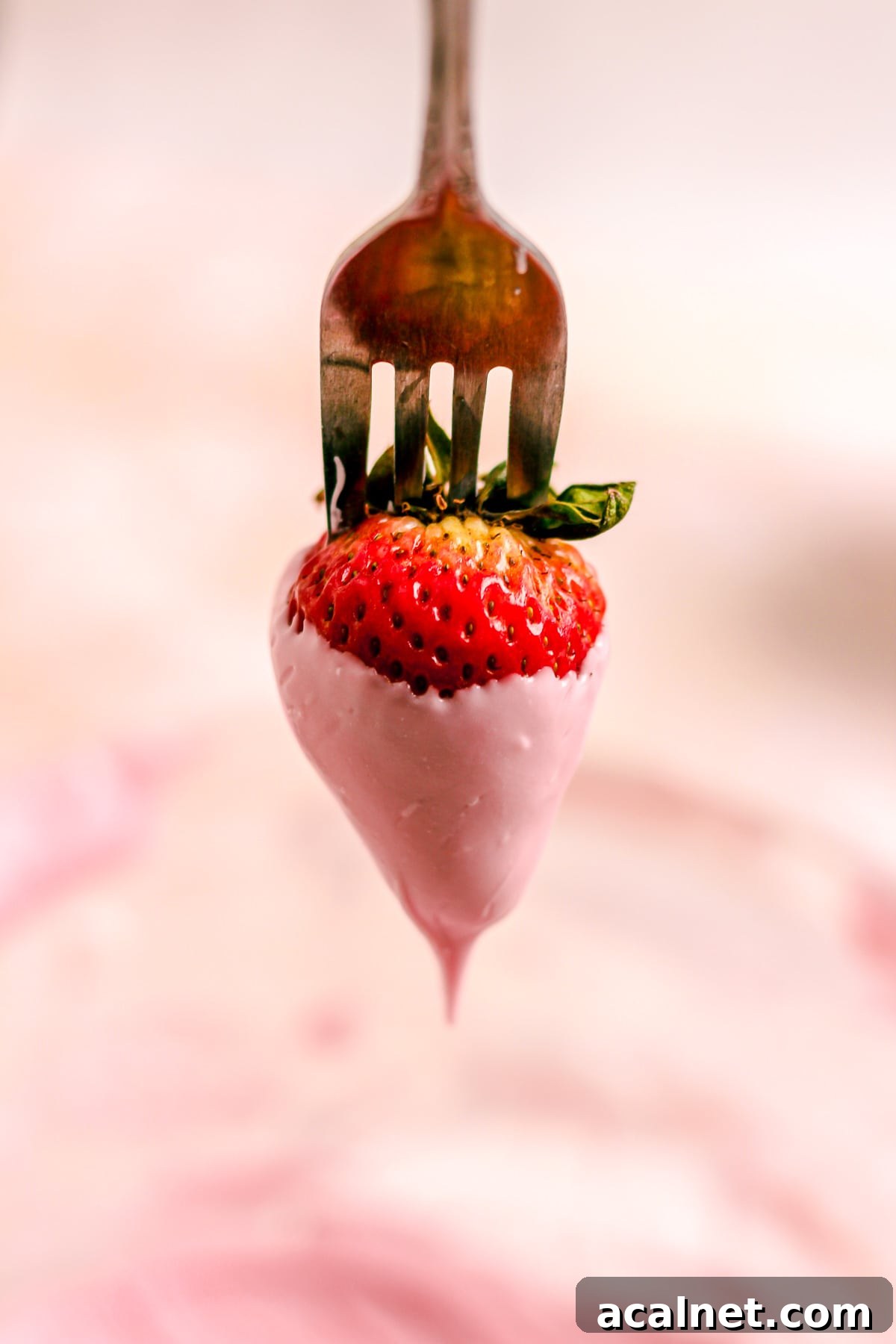 Dipping strawberry in pink chocolate