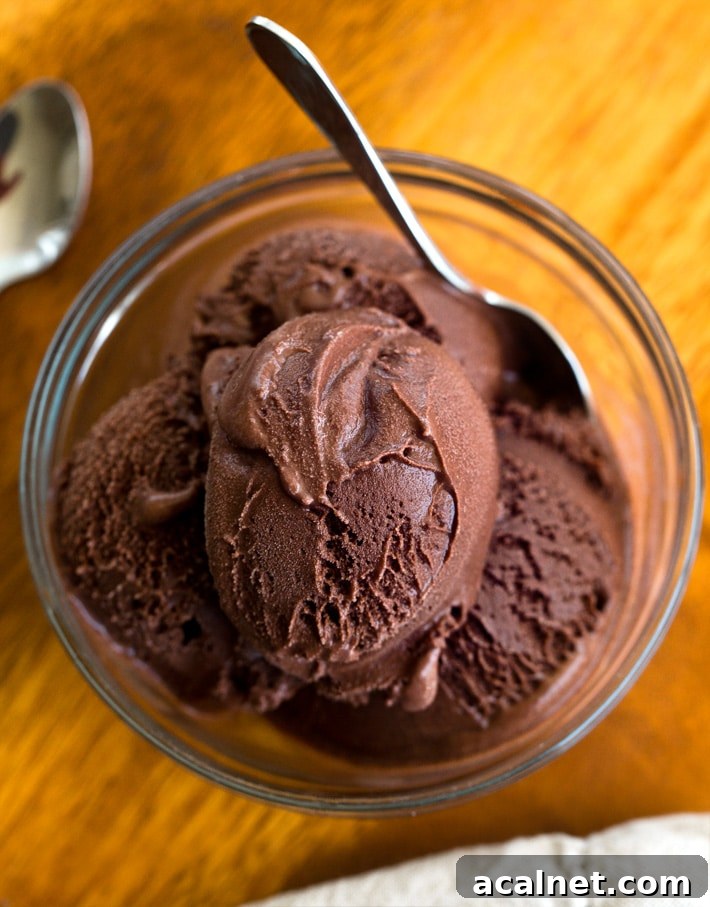 Creamy Dark Chocolate Sorbet