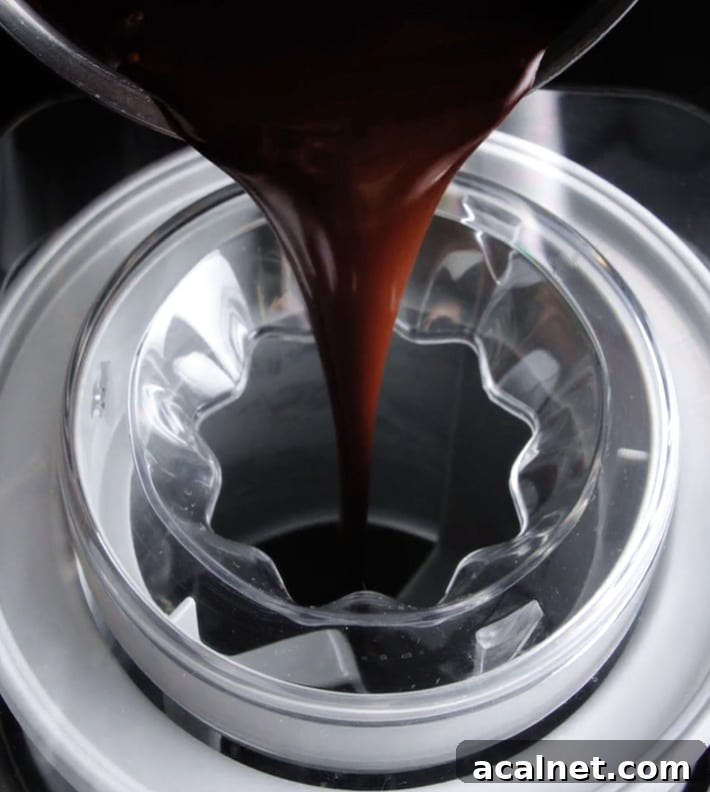 Ice Cream Maker Chocolate Sorbet