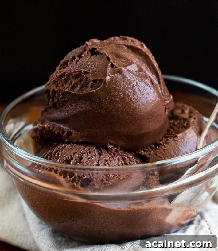Homemade Chocolate Sorbet Recipe