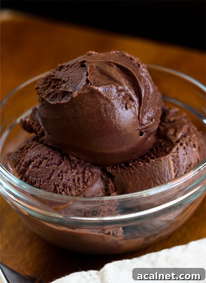 Vegan Chocolate Frozen Dessert