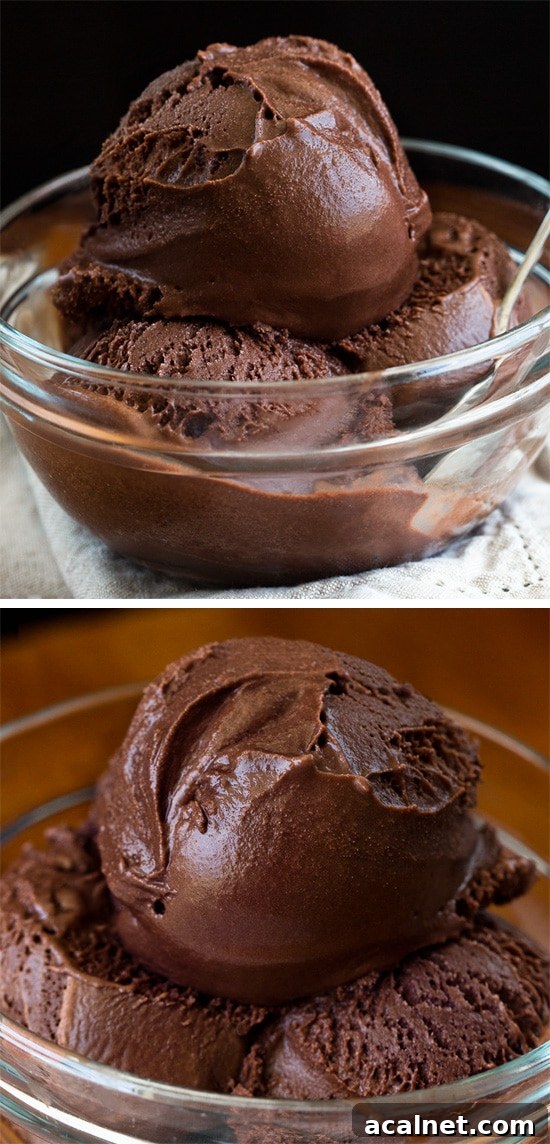 Dairy Free Chocolate Sorbet Dessert