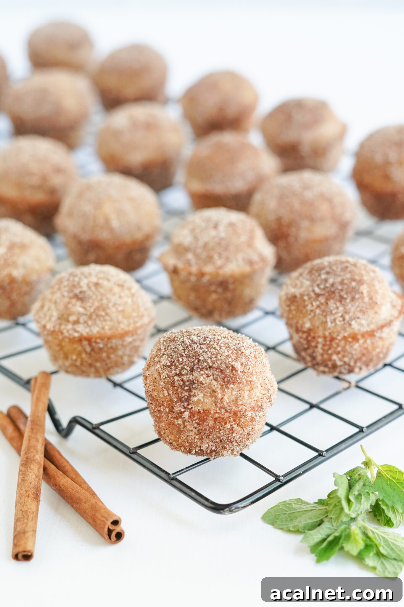 apple cider donut holes on a cooling rack