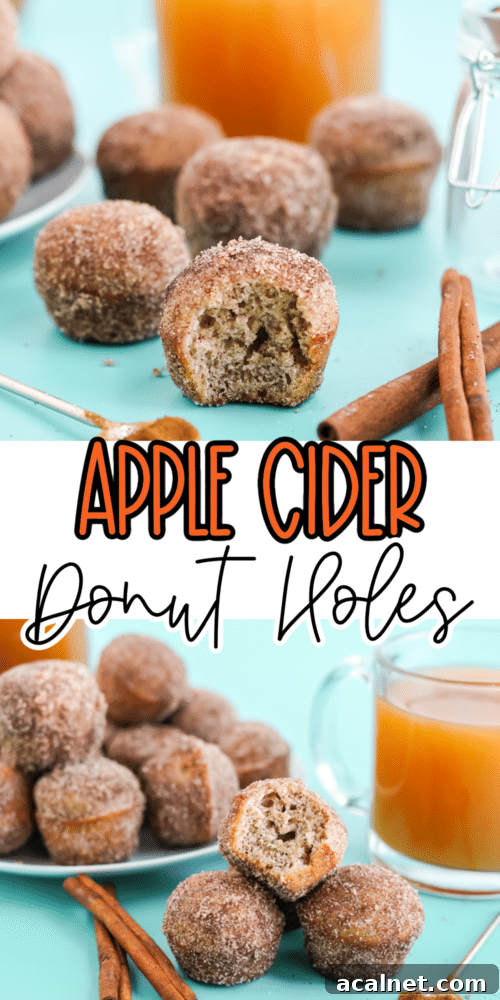 apple cider donut holes stacked on a white plate