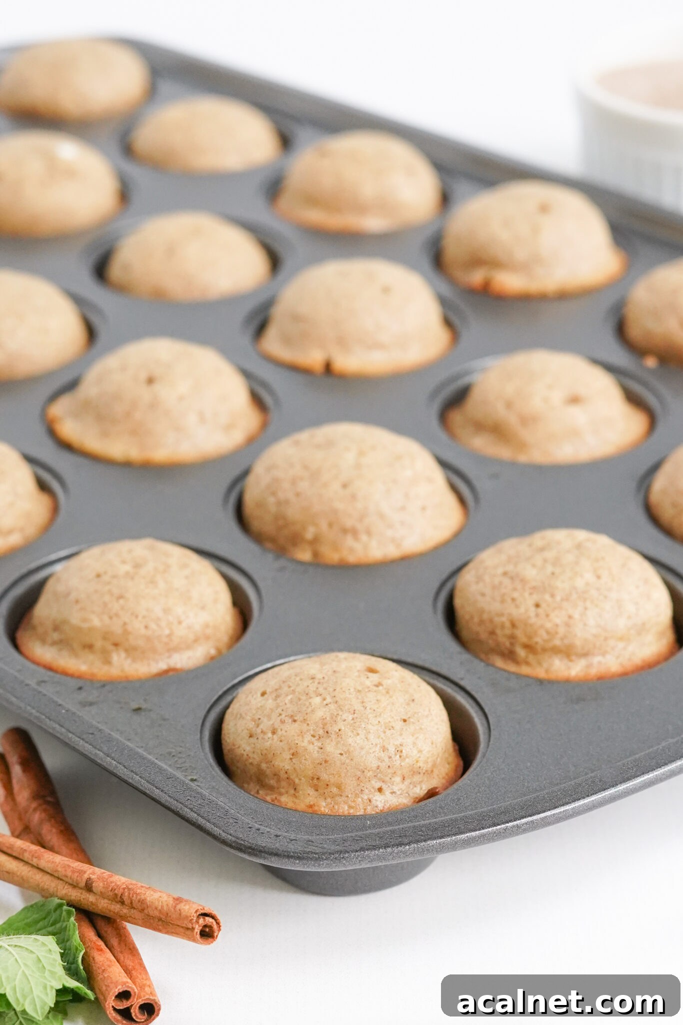 Apple Cider Donut Holes finished baking
