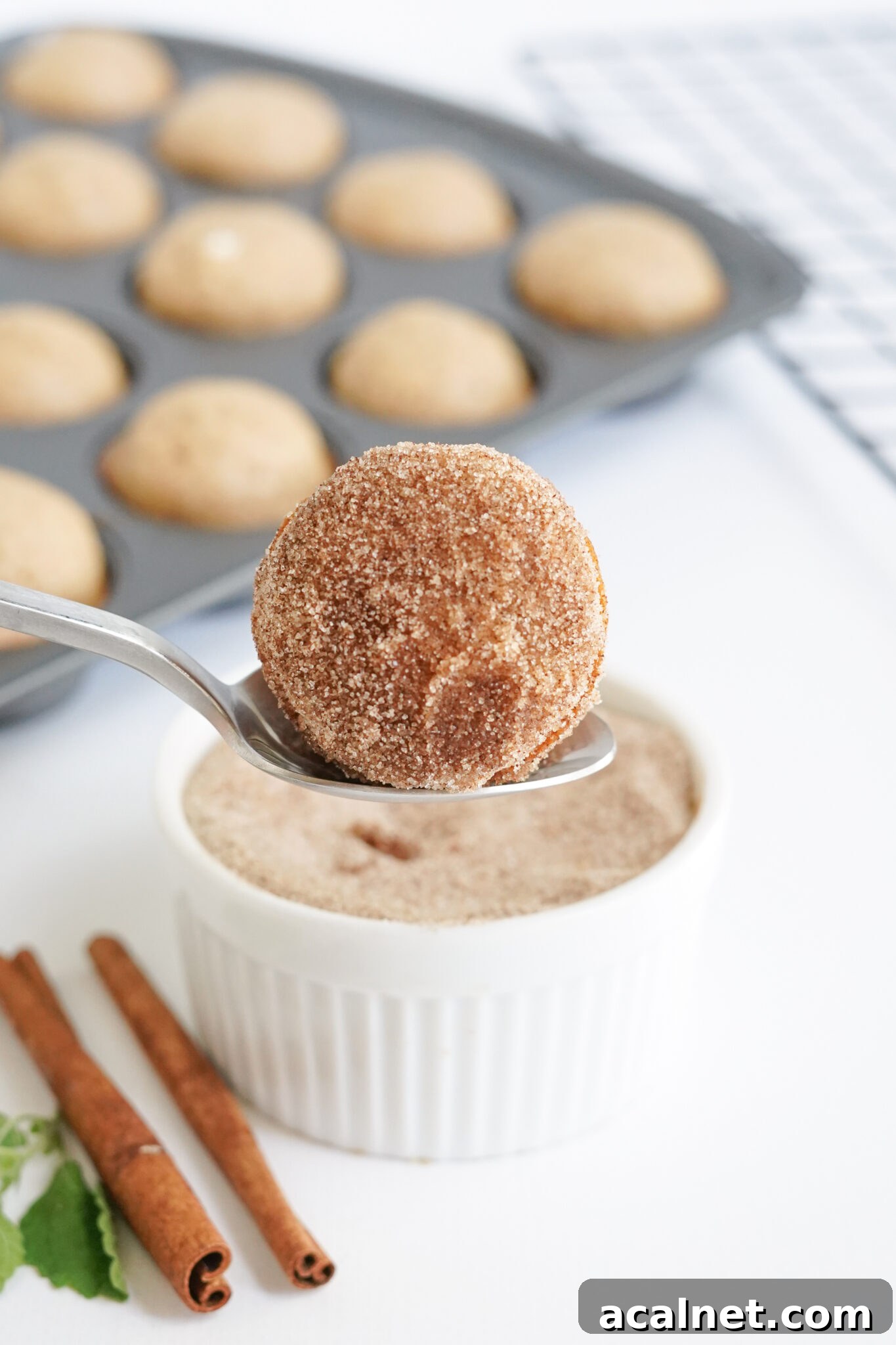 Apple Cider Donut Holes being rolled in cinnamon and sugar