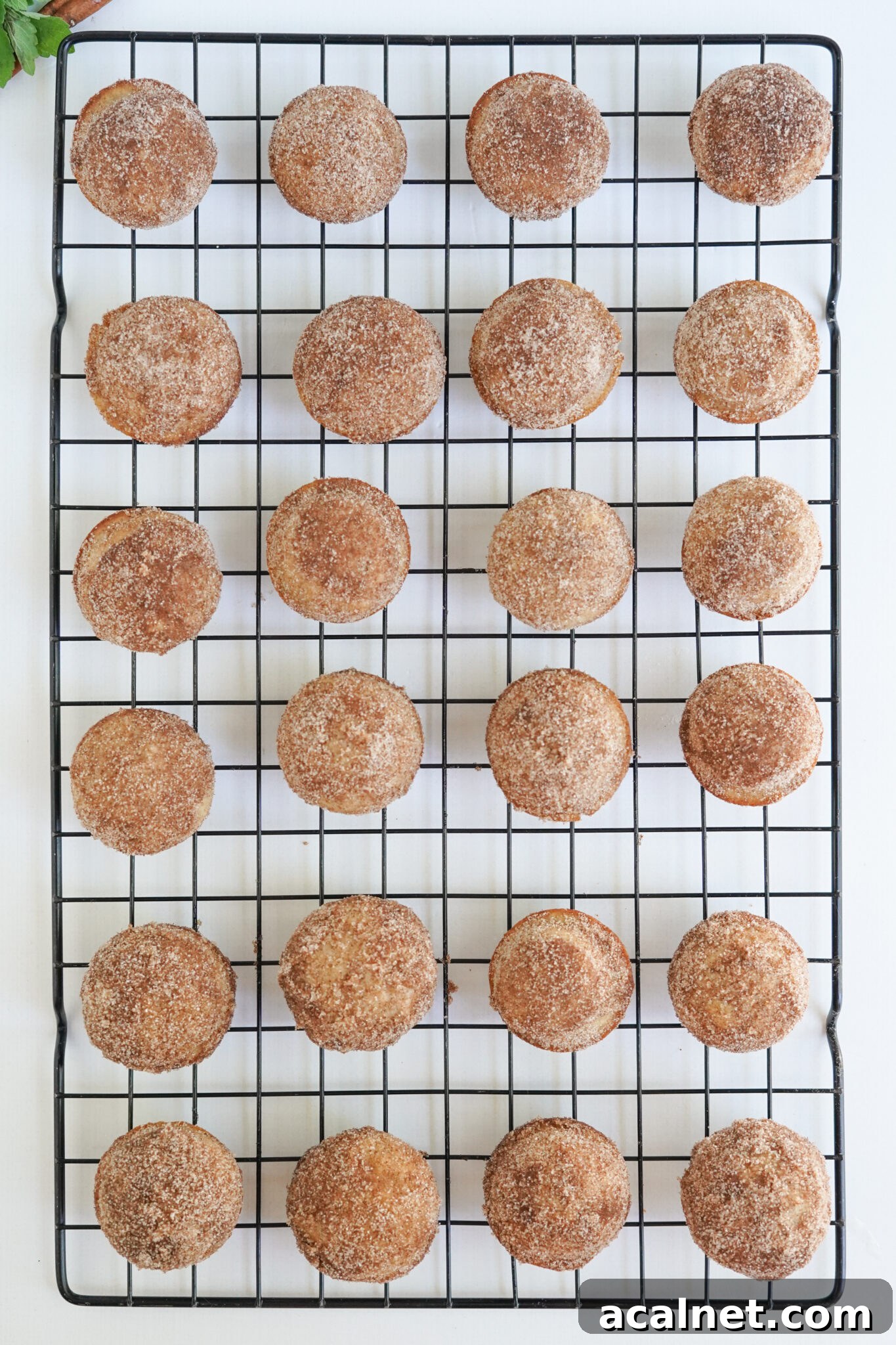 top view of apple cider donut holes on a cooling rack