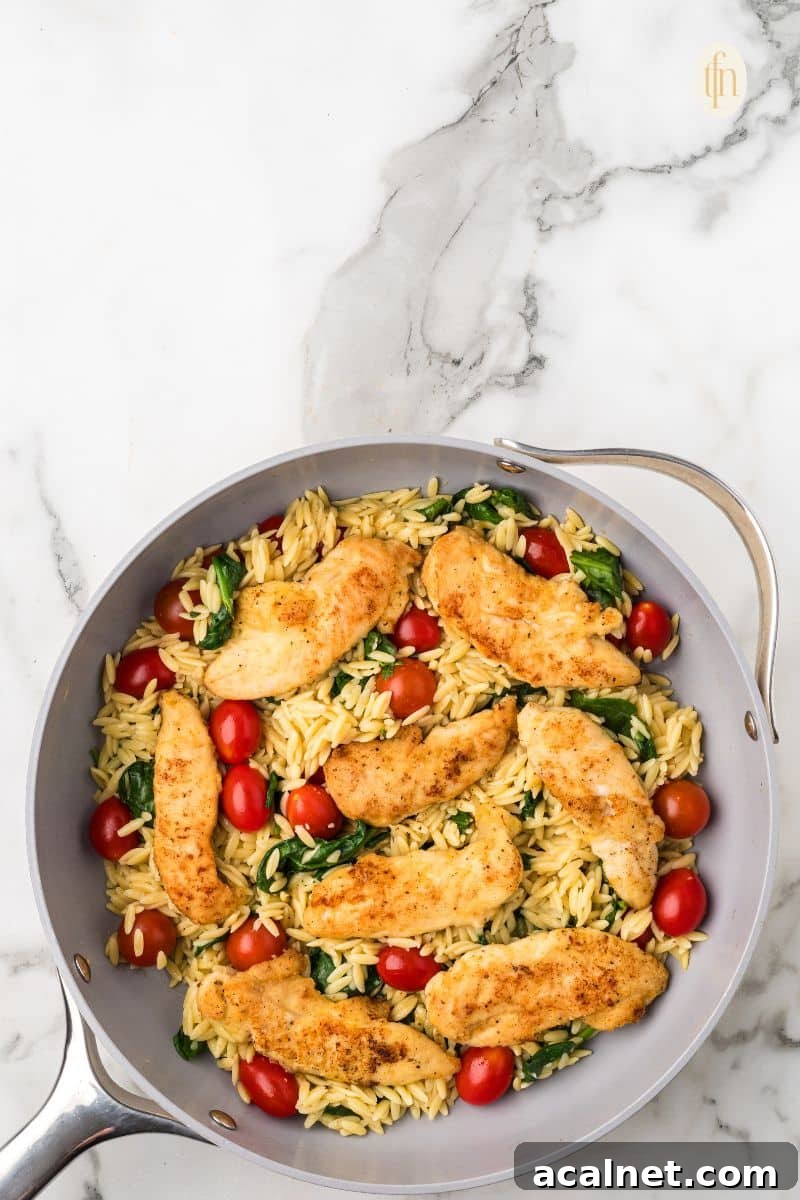 A pan of chicken and orzo.
