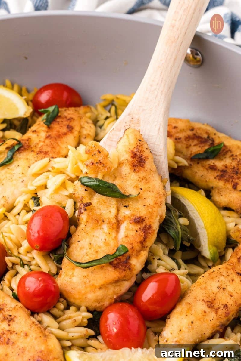 A scoop of chicken on a pan of orzo chicken.