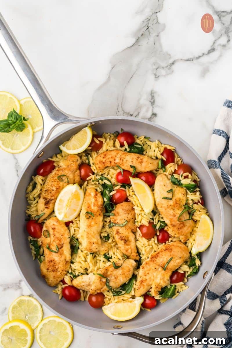 A pan of chicken and orzo.