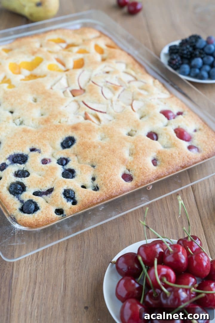 Quick Summer Fruit Cake Recipe with Fresh Berries 3 summer cake recipe made of sponge dough