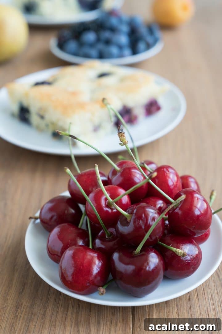 Quick Summer Fruit Cake Recipe with Fresh Berries 7 Delicious Summer Fruit Cake