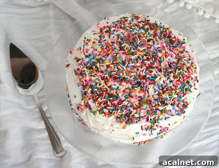 Overhead photo of a whole funfetti cake on a white background.