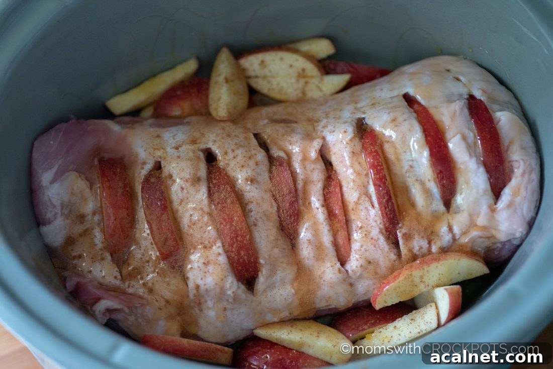 Crockpot Honey Pork with Apples