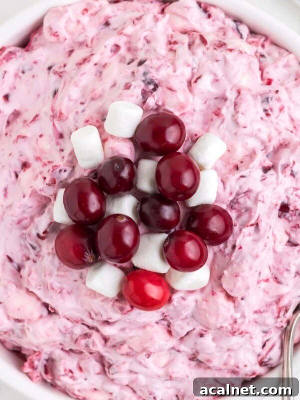cranberry fluff in a bowl with cranberries and marshmallows on top