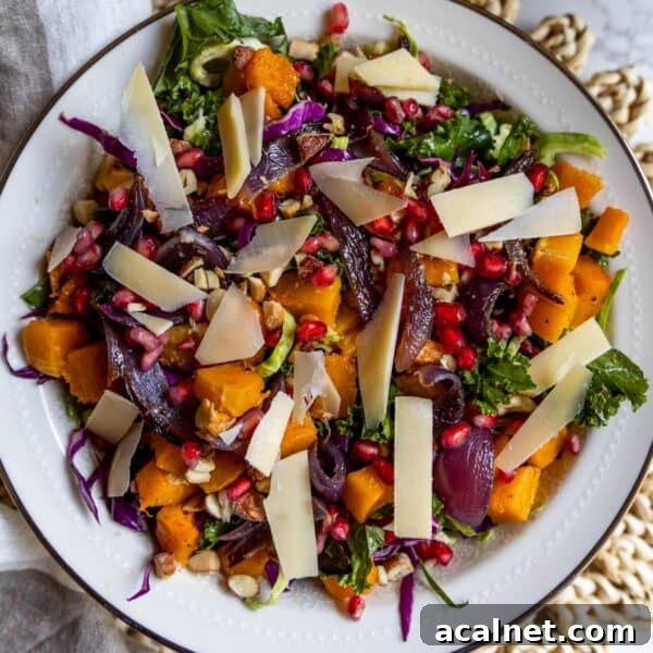 A plate of winter salad with kale, roasted butternut squash, red onions, purple cabbage, pomegranate seeds, walnuts, and shaved cheese.