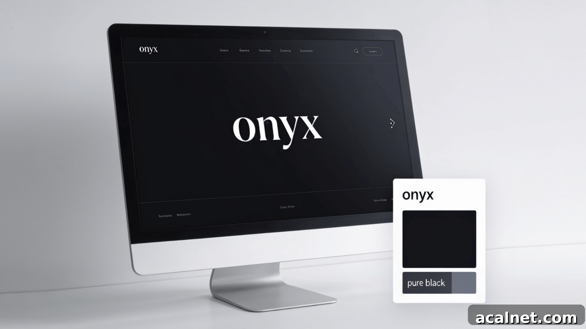 onyx color palette displayed on a computer screen with dark shade sample card on a clean white background