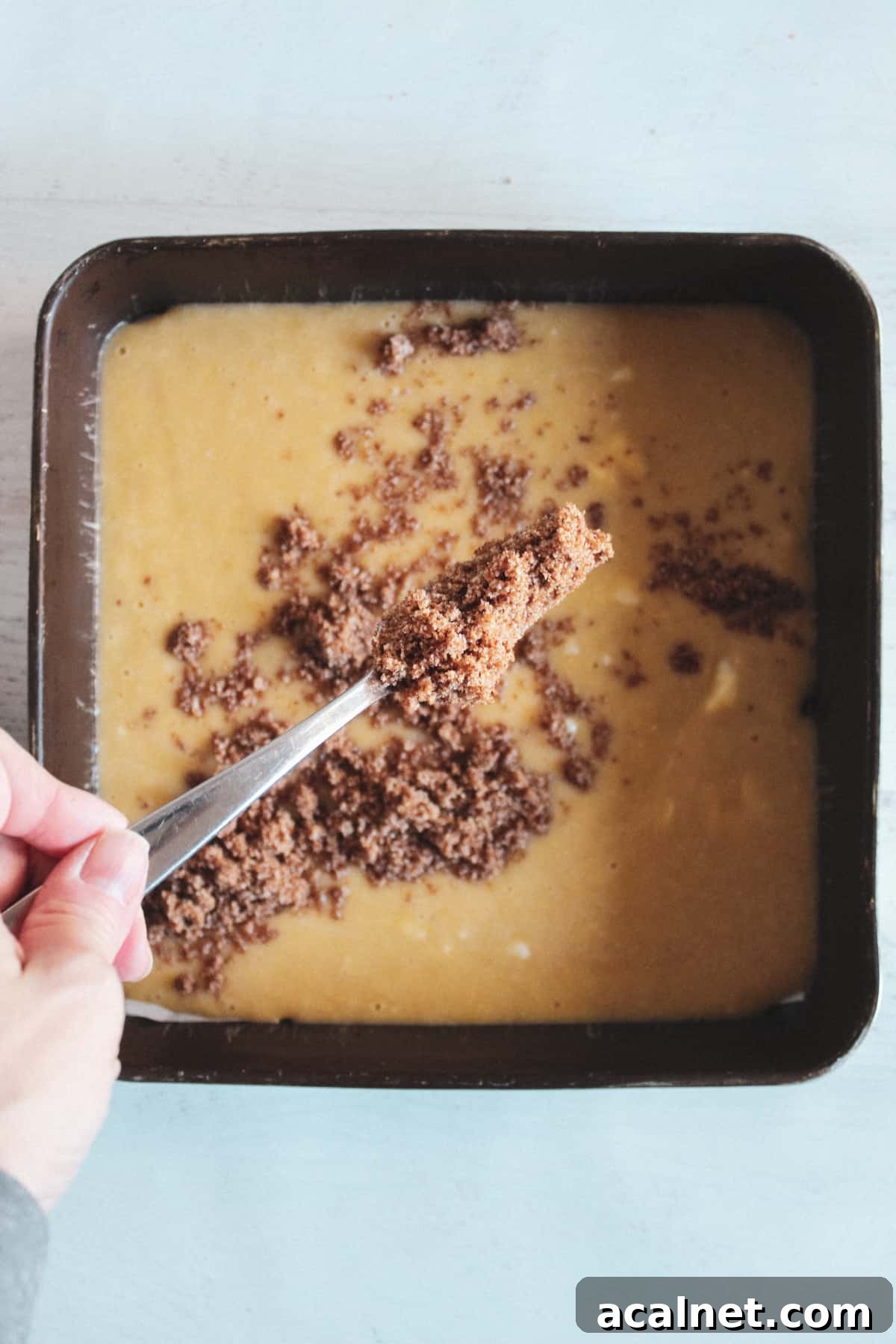 sprinkling cinnamon mixture on coffee cake batter