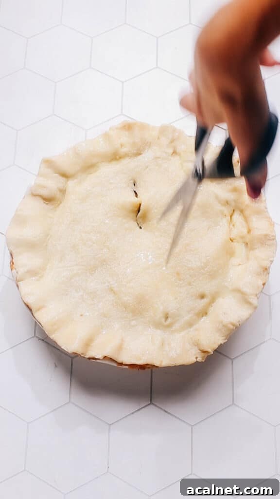 Classic Beef Pot Pie with Flaky Pastry Crust 10 Cutting steam vents in beef pot pie before baking.