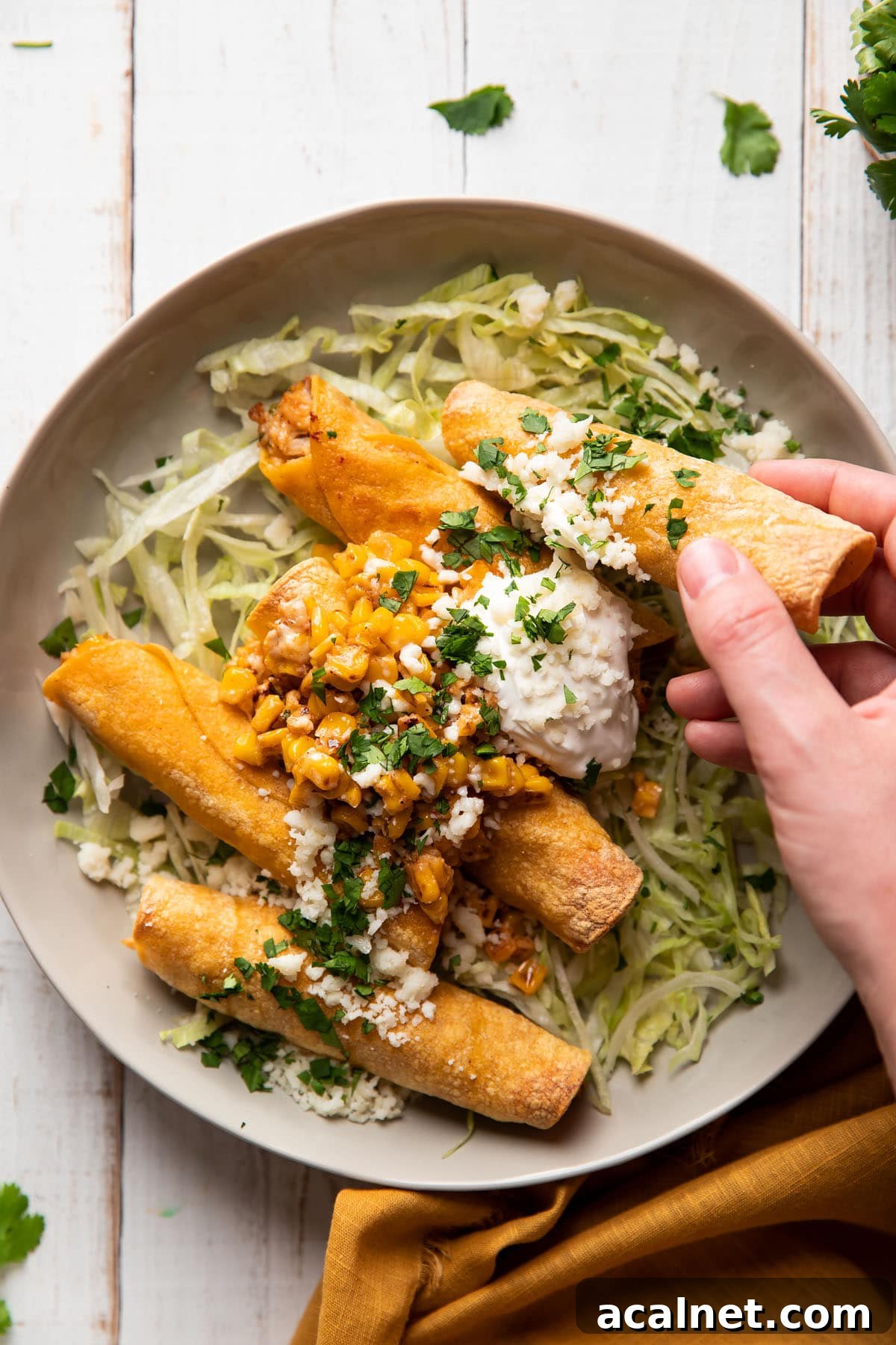 hand grabbing a taquito from a plate filled with chicken and mexican corn served with lettuce and sour cream on top