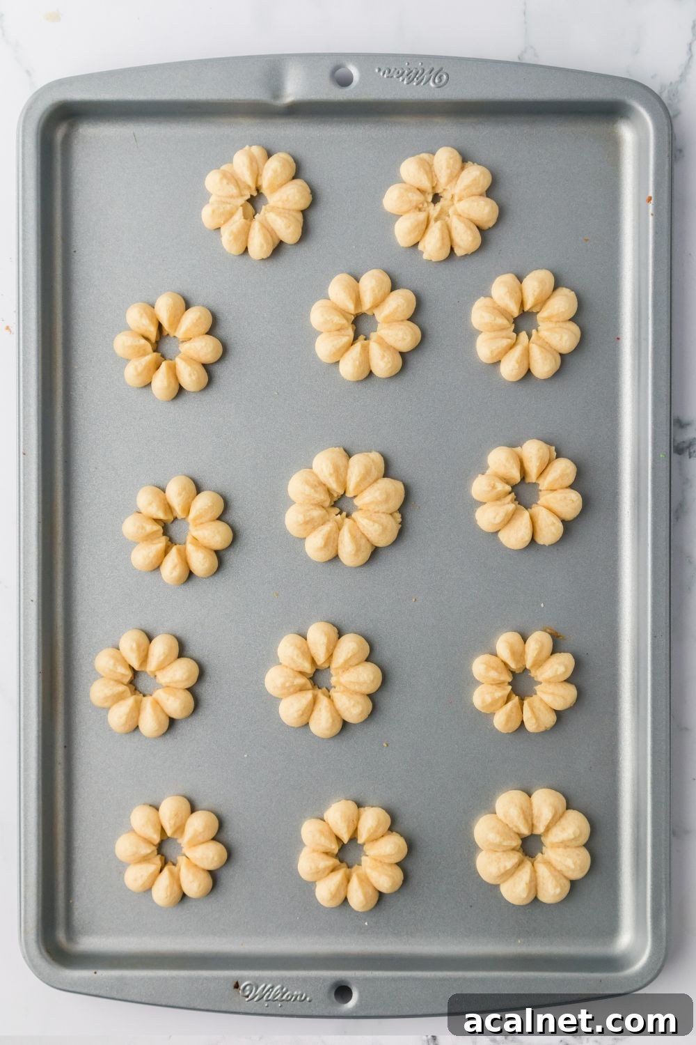 Classic Christmas Spritz Cookie Recipe 12 cookies on baking sheet