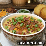 Crispy Air Fryer Baked Potatoes 18 Crockpot Cheeseburger Soup