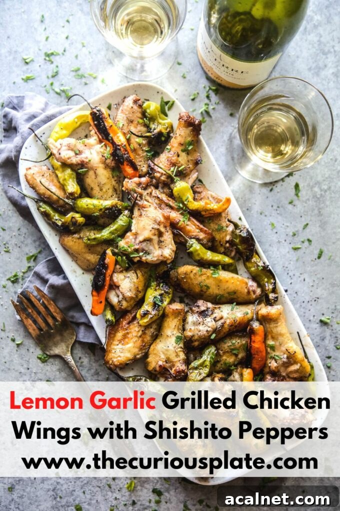 Lemon Garlic Grilled Chicken Wings with Shishito Peppers