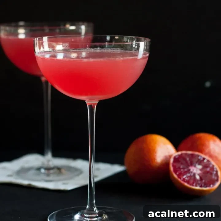Blood orange Vesper martini
