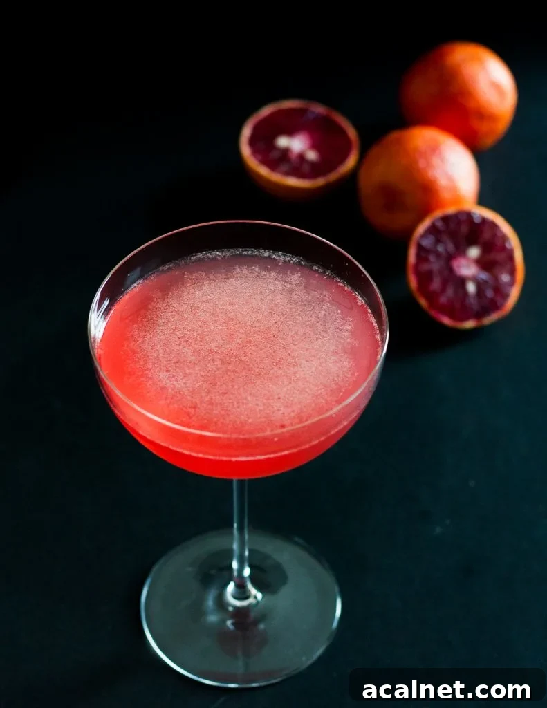 Blood orange cocktail closeup