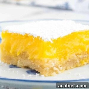 A single sourdough lemon bar on a plate, dusted with powdered sugar, showing the bright lemon filling over a crumbly crust.