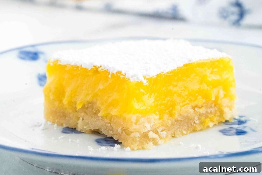 A single sourdough lemon bar on a plate, dusted with powdered sugar, showcasing the yellow lemon layer atop a crumbly crust.