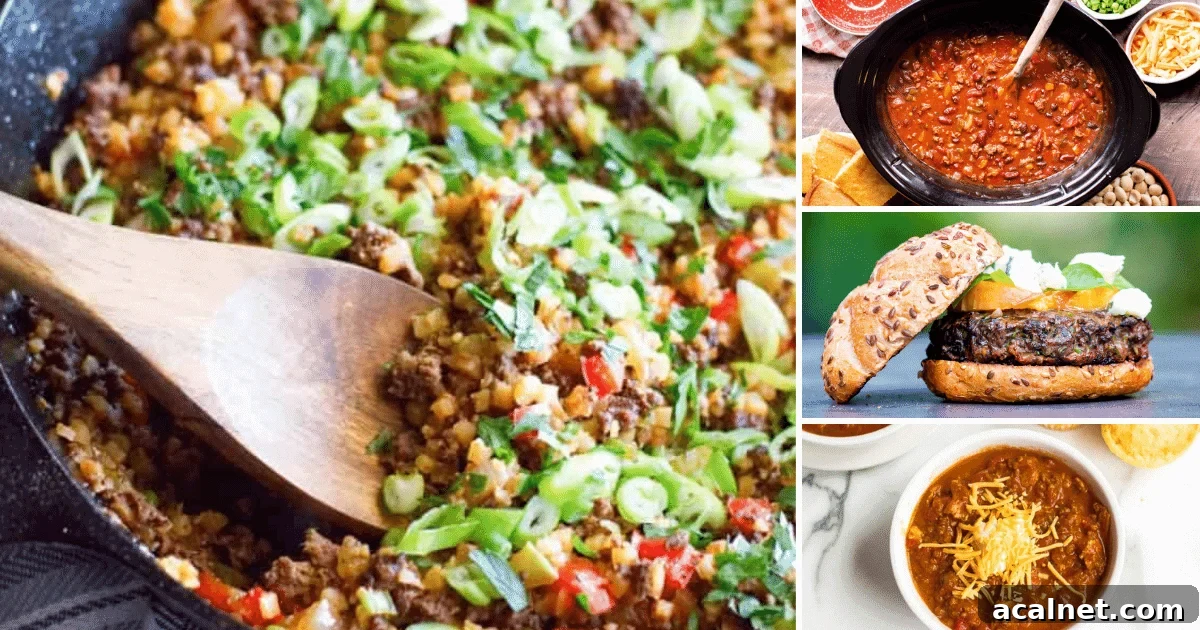 A photo of four ground venison recipes, they include dirty cauliflower rice, chili, and a juicy venison burger
