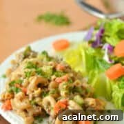 Ground venison hamburger helper on a plate with salad.