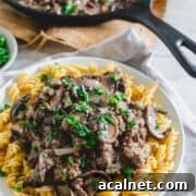 A large plate of venison stroganoff on cooked rotini, garnished with chopped parsley.