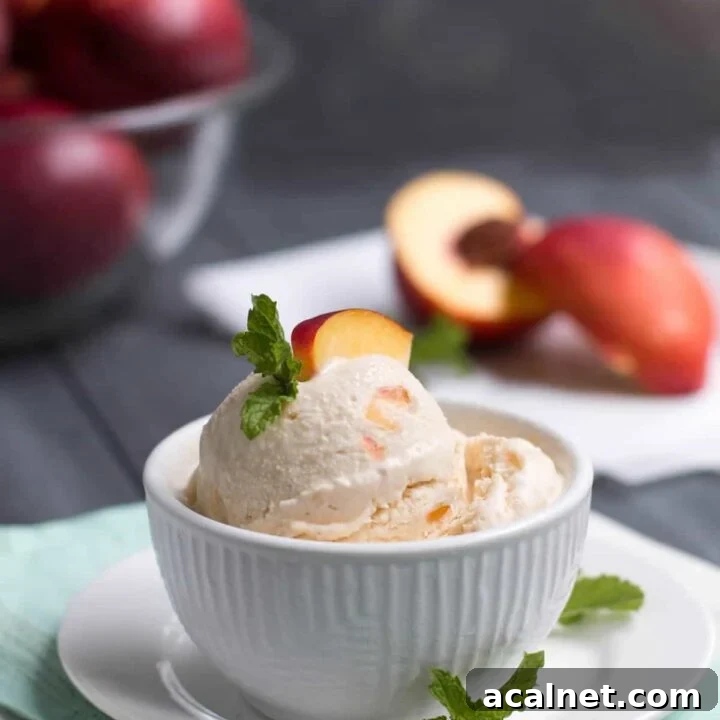 No Churn Nectarine Ice Cream